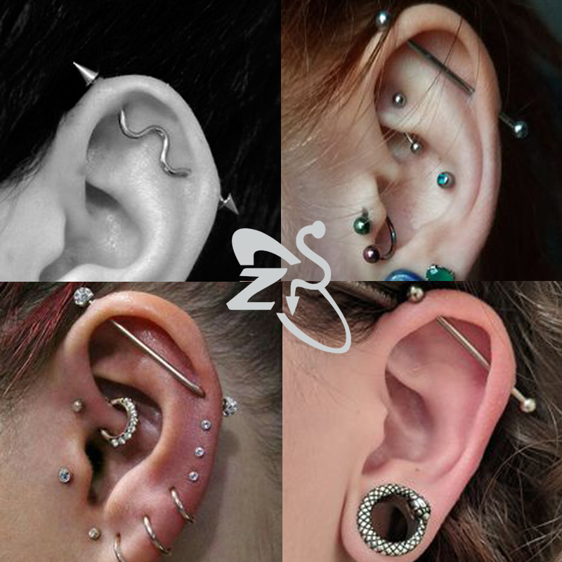 ZS 1 Phẫu Thuật Thép Không Gỉ  - đánh giá và giá Body Jewelry Surgical Steel