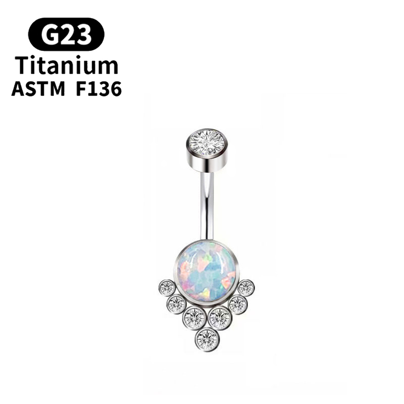G23 Titan Xuyên Titan Cao Cấp  - đánh giá và giá Body Jewelry Implant Grade Titanium